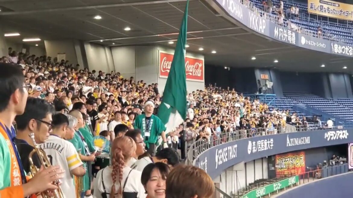 20240914　優勝ﾏｼﾞｯｸ8！【勝利の二次会】福岡ソフトバンクホークス【今ｶｰﾄﾞ連勝、通算5連勝】【関西なのに関東真隼】@京ｾﾗﾄﾞｰﾑ大阪･ﾚﾌﾄ外野下段