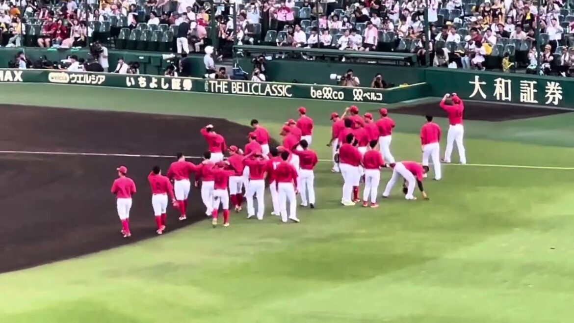 【24.ラスト聖地】 新井さんありがとう。#広島東洋カープ 甲子園のファンに挨拶  #阪神甲子園浜  24.9.14.