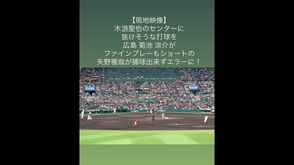 【現地映像】木浪聖也のセンターに抜けそうな打球を広島 菊池涼介がファインプレーもショートの矢野雅哉が捕球出来ずエラーに！【2024.9.14  阪神vs広島」  #shorts