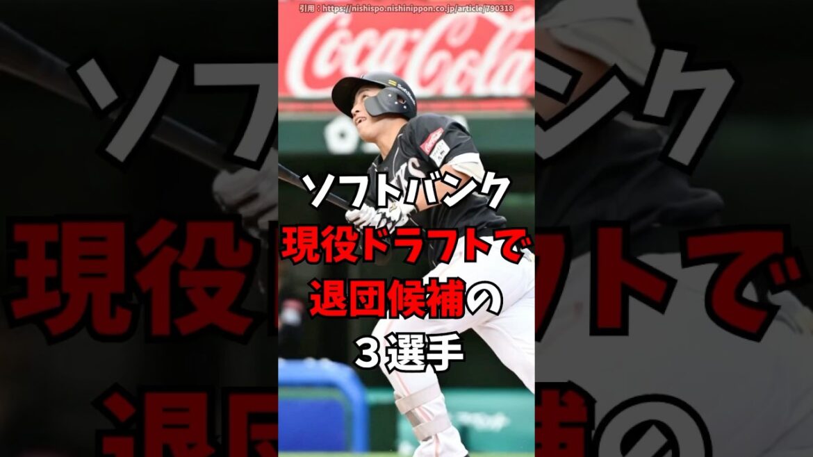 ソフトバンクの現役ドラフト候補3人【福岡ソフトバンクホークス】
