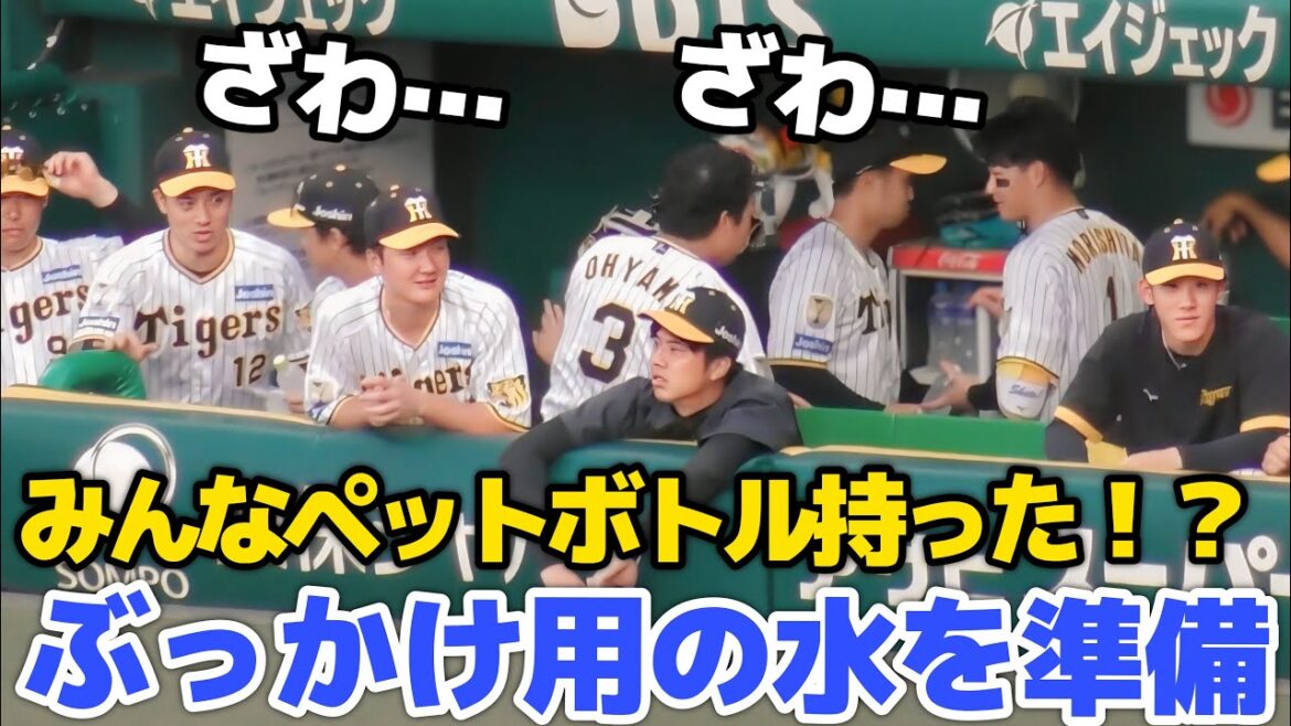 【ぶっかけ用の水を確保】熊谷パイセンどこ行った？！島田が配るわ！サヨナラチャンスに水を取り出しスタンバイする阪神ベンチ2024.9.14