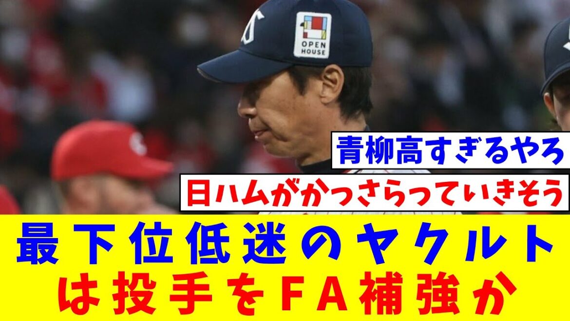 最下位低迷のヤクルトは投手をFA補強か　石川柊太、青柳晃洋、西野勇士が「有力候補」に【なんJ反応】【プロ野球反応集】【2chスレ】【5chスレ】