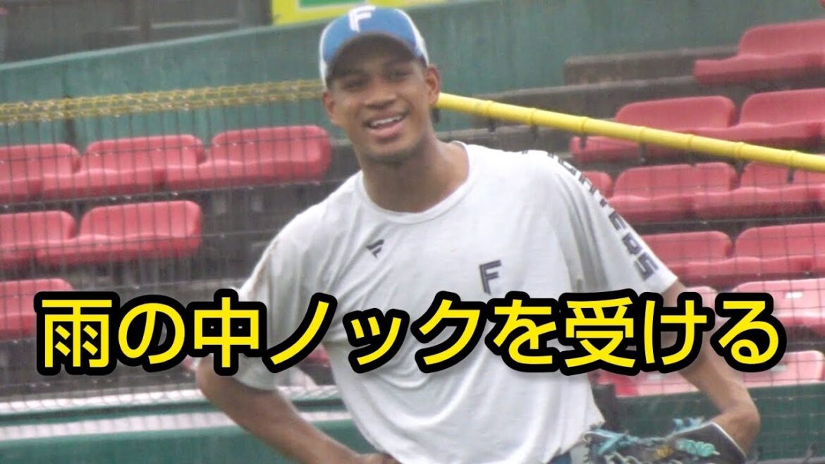 日本ハム、雨の中ノックを行う（結局試合は中止）2024.9.15