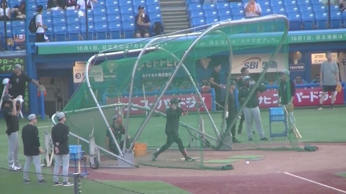 巨人 中山礼都のフリーバッティング【ヤクルトスワローズ対 読売ジャイアンツ2024年9月13日】