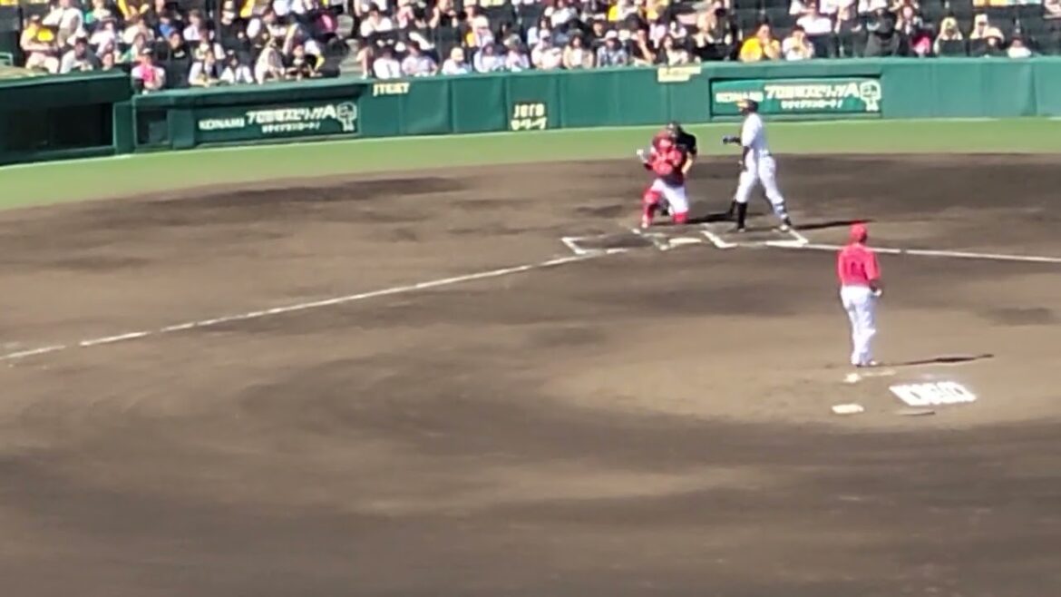 【注目第一打席】 #阪神 #井上広大 選手打席シーン 24.9.14 .🆚 #広島東洋カープ#阪神甲子園球場