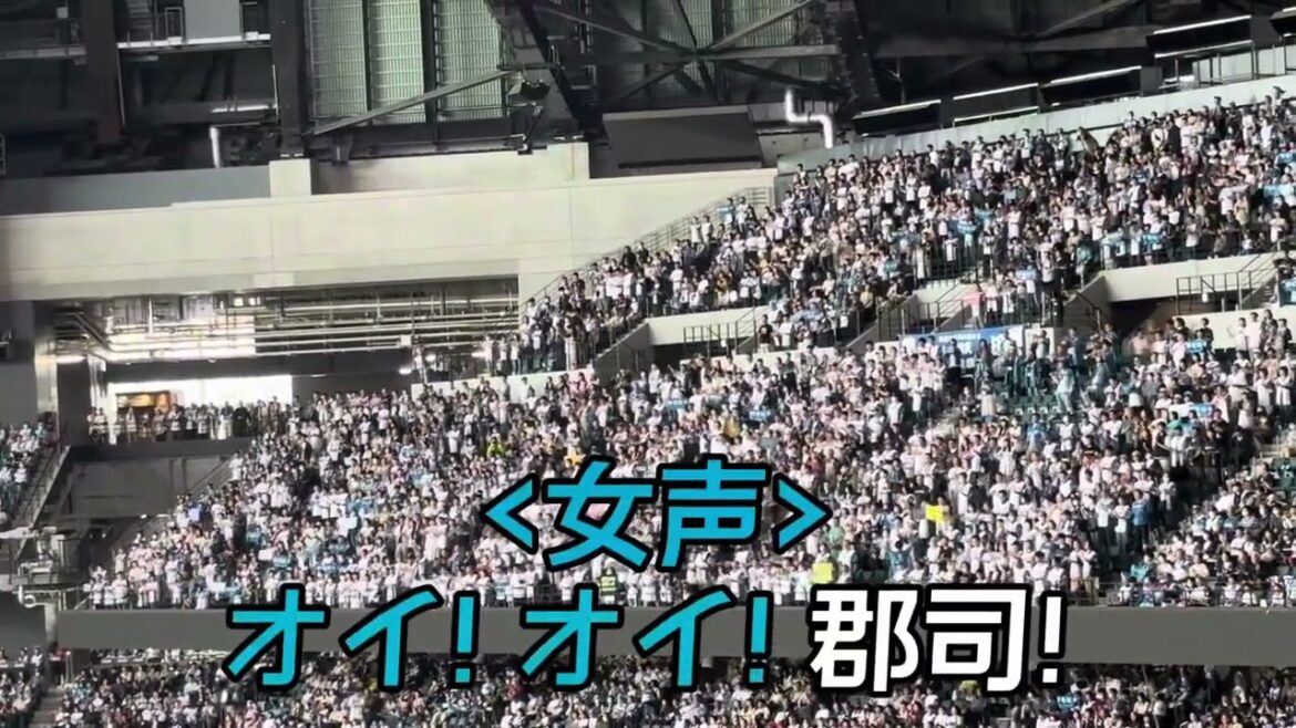 【北海道日本ハムファイターズ】チャンステーマ「酔いどれマーチ」