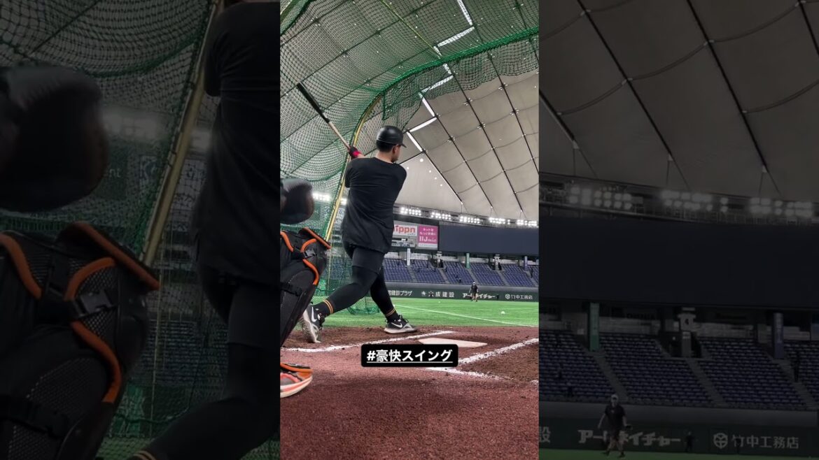 岡本和真の豪快スイング(試合前練習) #shorts