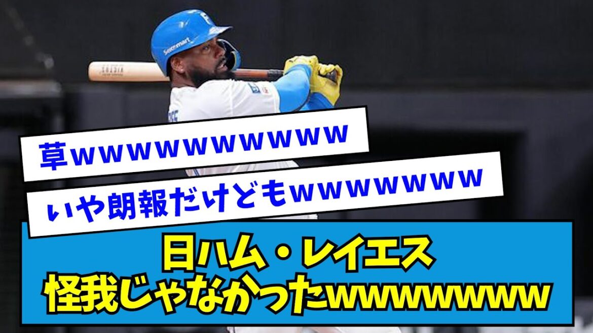 【ちょっと謎】日ハム・レイエス怪我じゃなかったwwwwwww【なんJ反応】 【ちょっと謎】日ハム・レイエス怪我じゃなかったwwwwwww【なんJ反応】