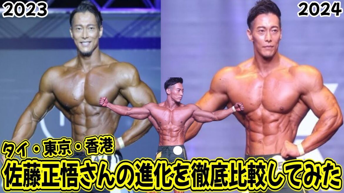 【超進化】佐藤正悟さん 約1年間の筋肉変化について【2023 vs 2024】今年3大会の結果＆優勝者とも比較してみた