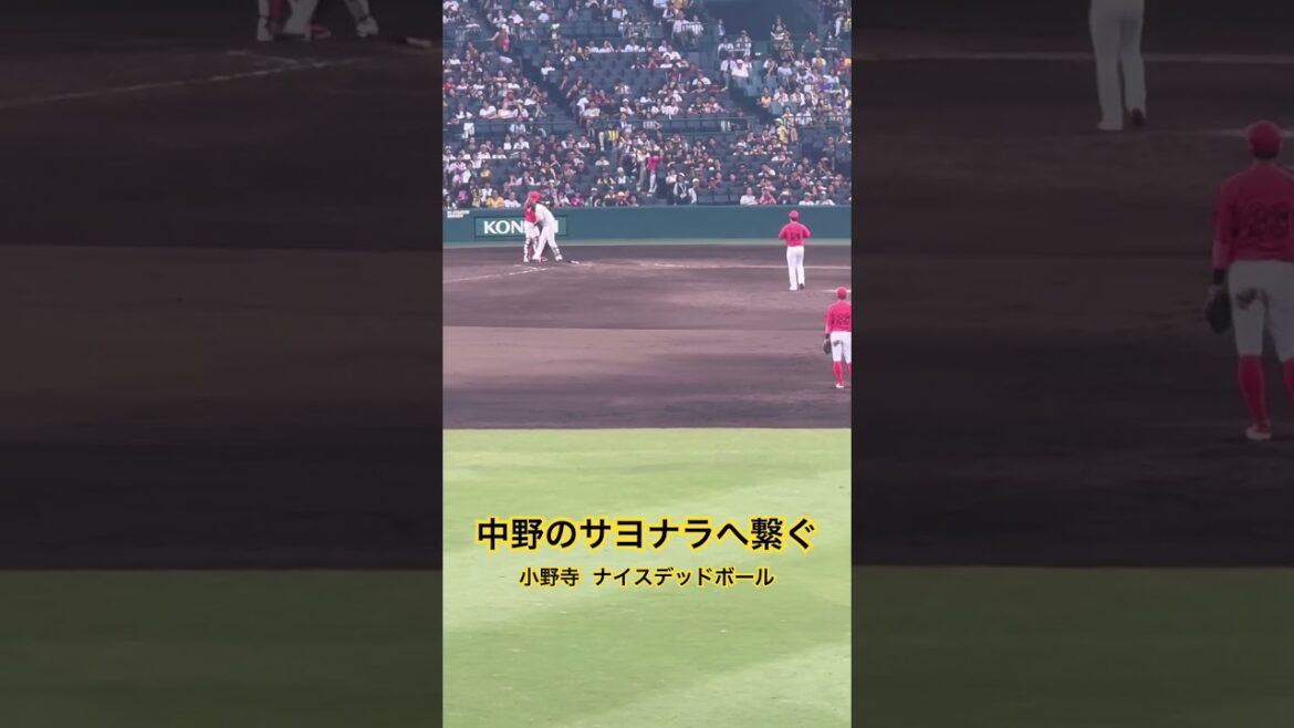 #小野寺暖 ナイスデッドボール サヨナラへチャンス拡大！！