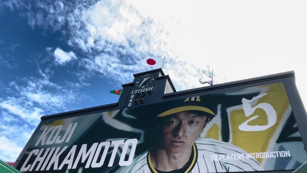 【注目6番】 #阪神タイガース ✨ #スタメン発表 🐯先発 #才木浩人 投手 #阪神甲子園球場 24.9.14.🆚#広島東洋カープ