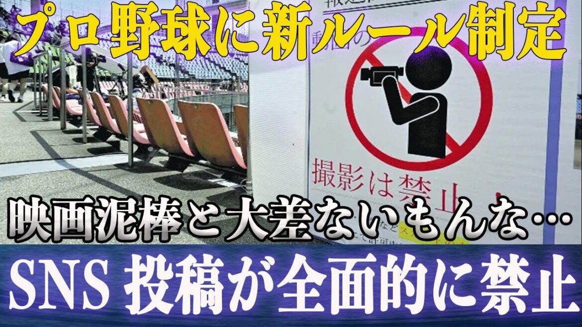 プロ野球界がSNS投稿禁止ルール制定！ファンからは新ルールに批判殺到…自由な撮影で選手たちが被害に？選手たちが語るSNSなどでの誹謗中傷の内容に一同驚愕！