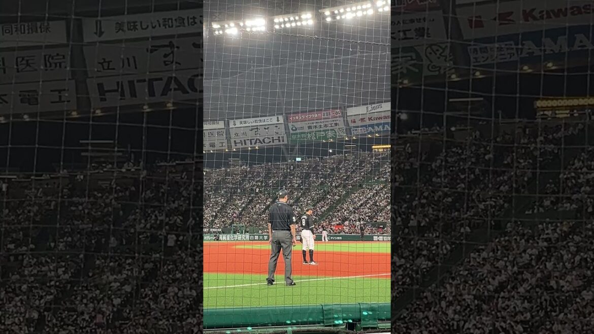 K.182 金子侑司選手の引退の日　ベルーナドームは満員御礼でした。