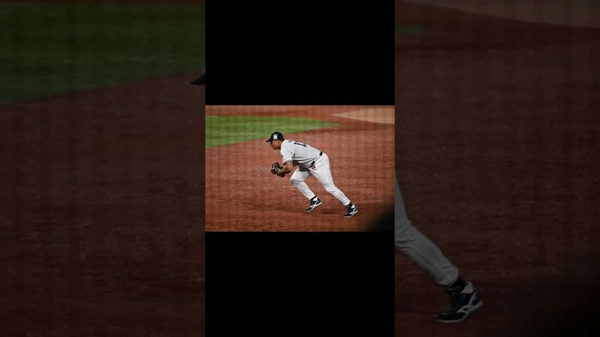 《降雨コールド》阪神キラーのミンゴと壮真が戻るだけで勝ち越しスワローズ！ #shorts