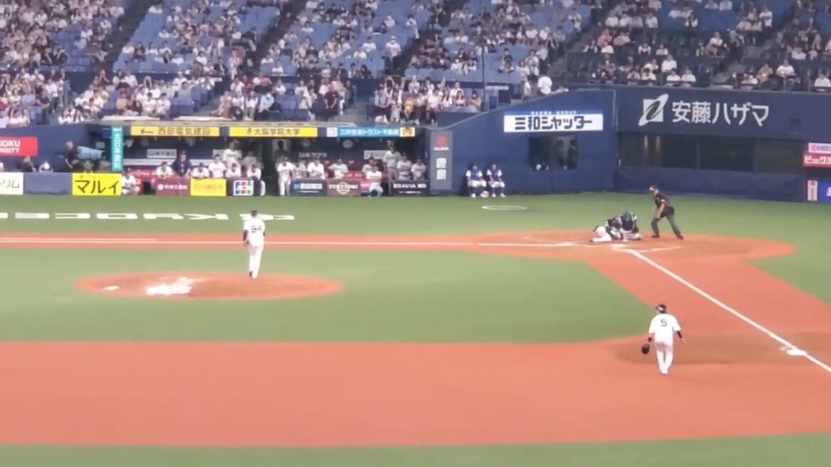 20240913【現地】川瀬兄弟　プロ初対決　兄は川瀬晃　弟は川瀬堅斗@京ｾﾗﾄﾞｰﾑ大阪･ﾚﾌﾄ外野下段