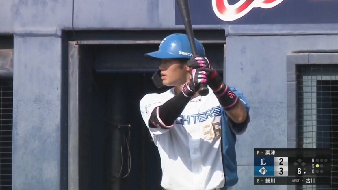 【ファーム】細川凌平 ヒット集【北海道日本ハムファイターズ】