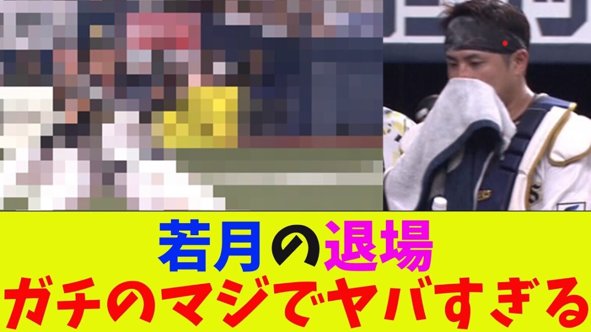 オリックス・若月の退場がガチのマジでヤバすぎるとなんj民とプロ野球ファンの間で話題に【なんJ反応集】