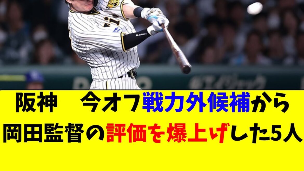 【阪神】戦力外候補から、一気に岡田監督の評価を上げた５人