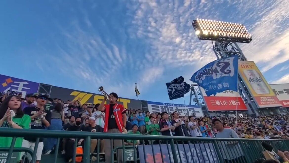 20240915 とびだせ有り!東京ヤクルトスワローズの試合前1-9応援歌メドレー 鳴り物・声出し応援1-9【大迫力】@阪神甲子園球場・レフト外野 20240915 とびだせ有り!東京ヤクルトスワローズの試合前1-9応援歌メドレー 鳴り物・声出し応援1-9【大迫力】@阪神甲子園球場・レフト外野
