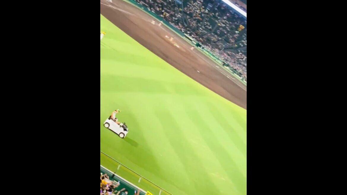 【首位の背中を追う】3連勝で貯金10 勝利の六甲おろし ビーズリーが二桁視野の8勝目 佐藤輝明の14号＆前川右京の甲子園初本塁打の4号2者連続本塁打 投手陣が2点差を守り抜く