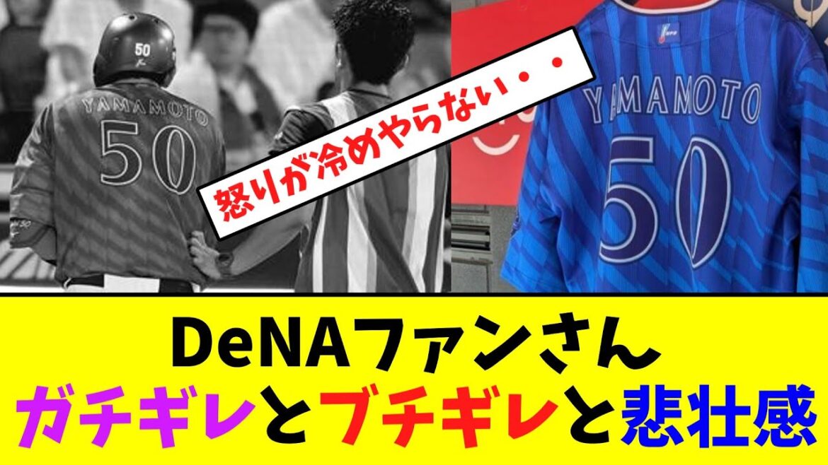 横浜DeNAベイスターズファンさんガチギレとブチギレと悲壮感【なんJなんG】【2ch5ch】