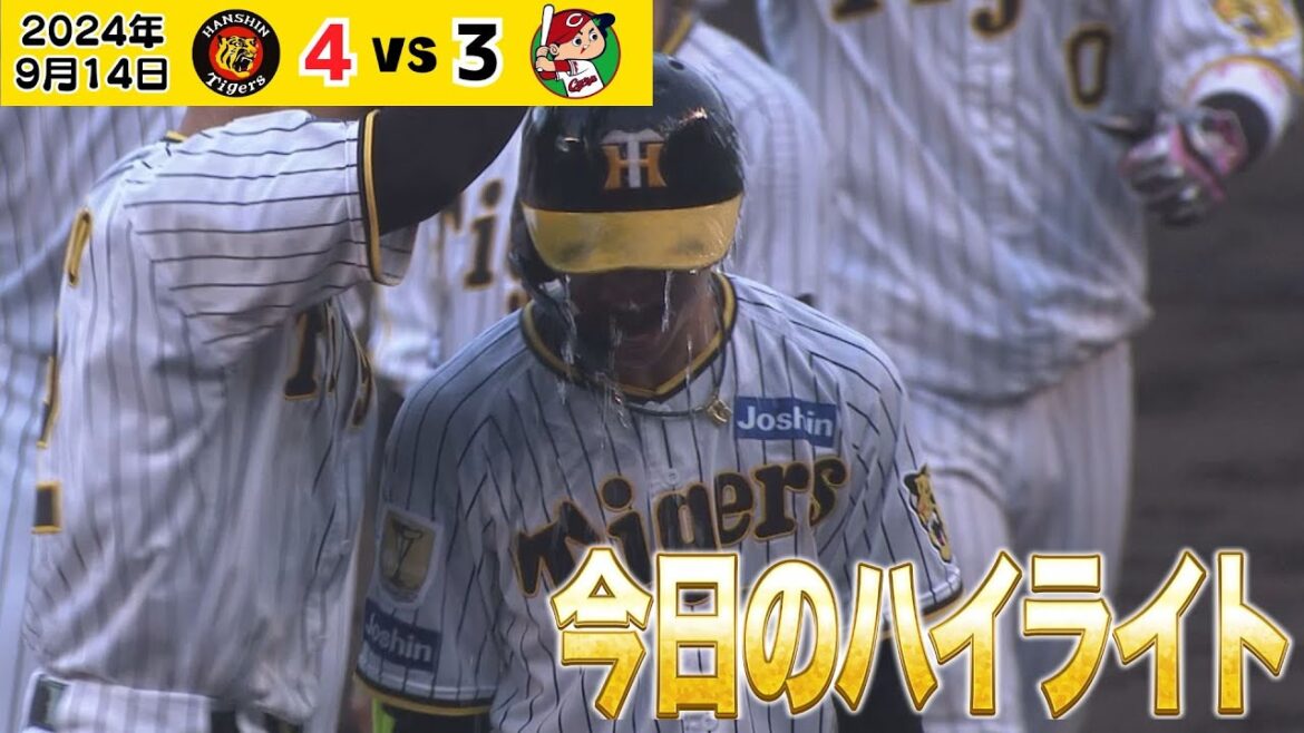 【9/14 サヨナラ勝ちハイライト】9月14日は負けられないでしょ！！！（2024年9月14日 阪神－広島）#サンテレビボックス席