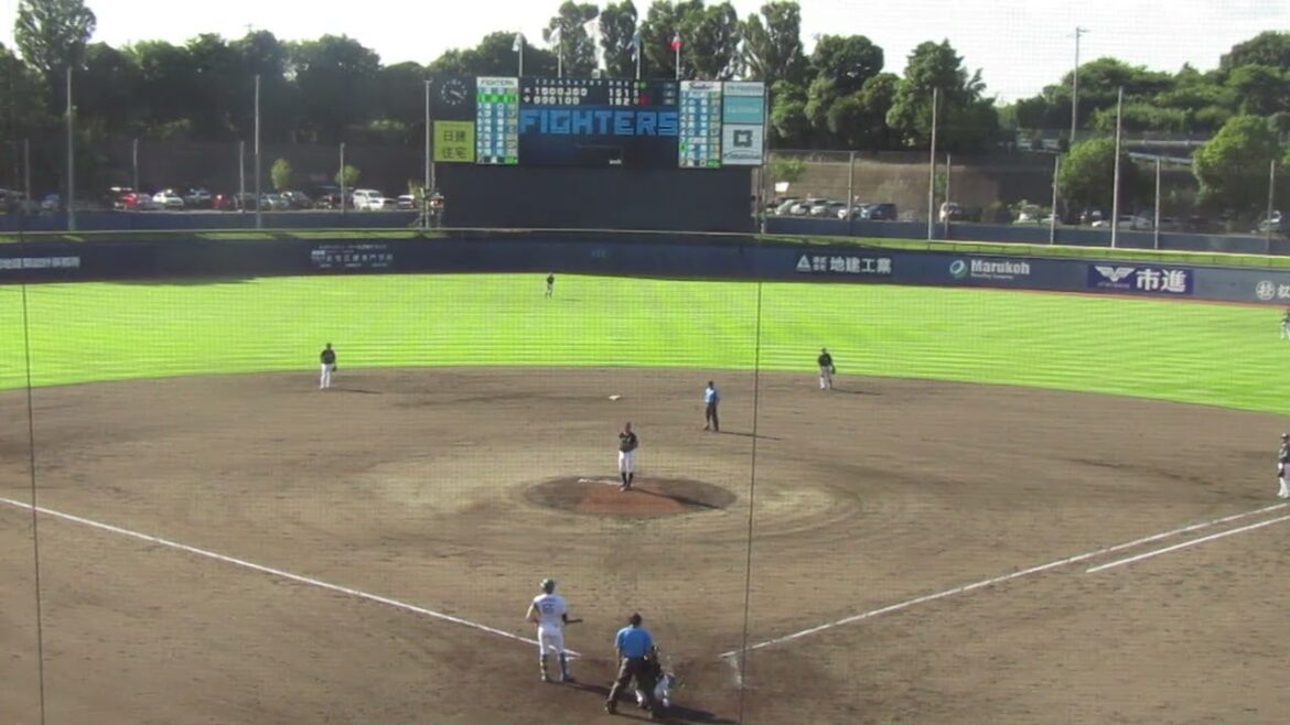 明瀬諒介をサードライナーに打ち取る阪口皓亮（2024年9月4日 日本ハムファイターズ 対 ヤクルトスワローズ）