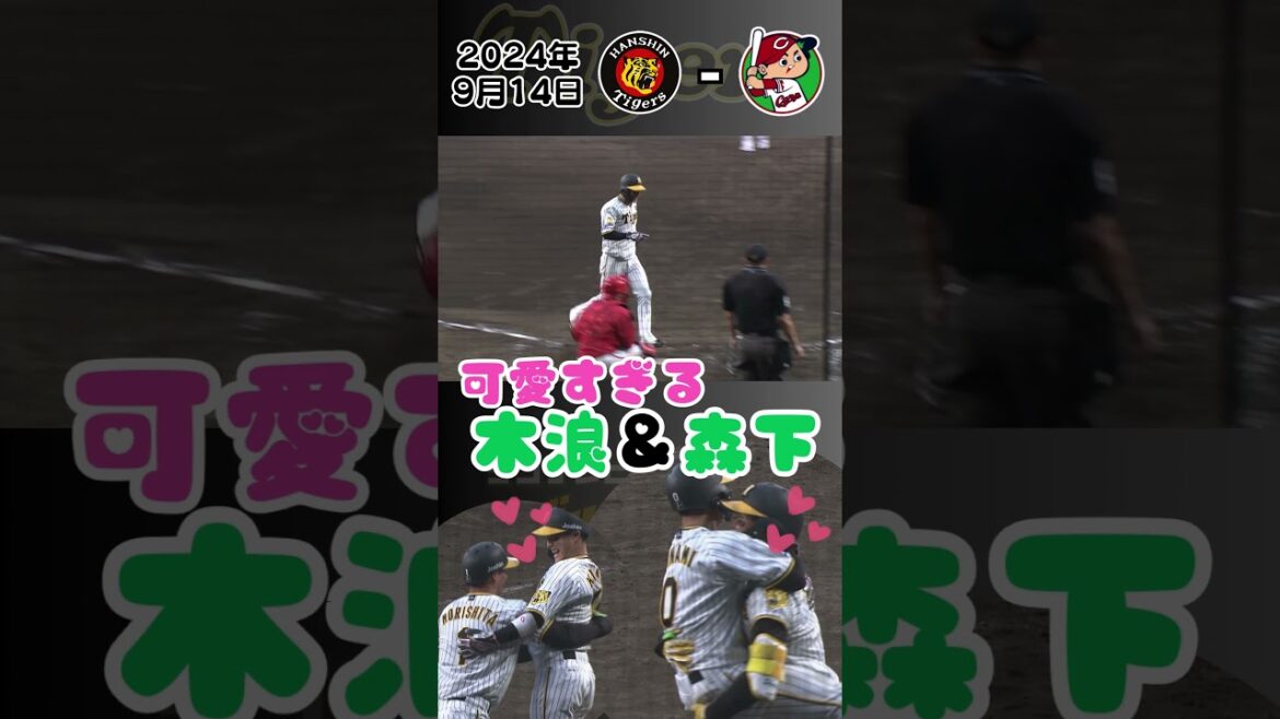 【木浪＆森下のハグが可愛すぎる！！】サヨナラホームイン後に抱き合う2人は可愛すぎです…！！！（2024年9月14日 阪神－広島）#サンテレビボックス席