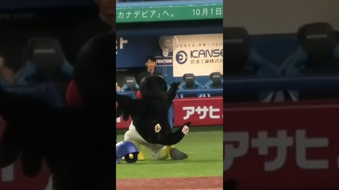 高津監督、つば九郎が空中くるりんぱを成功しかけて驚くw #つば九郎 #東京ヤクルトスワローズ #shorts