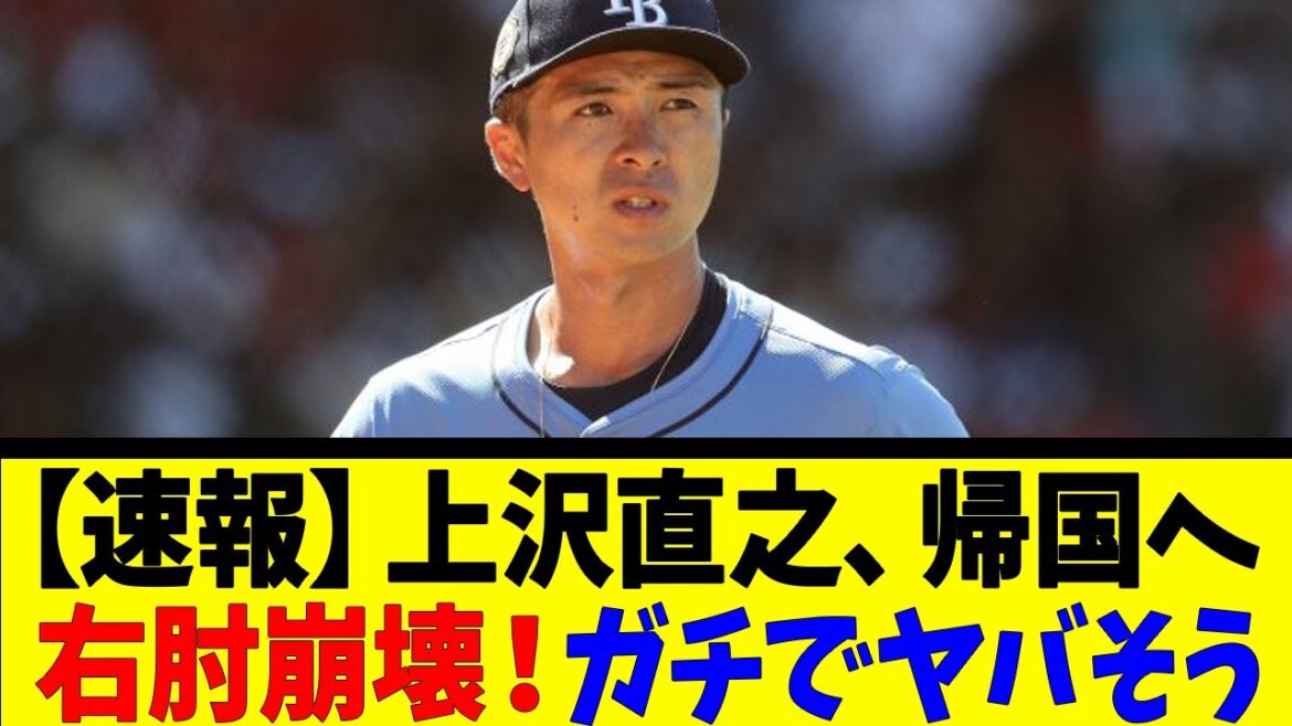 【速報】上沢直之、帰国へ   右肘崩壊！ガチでヤバそう【反応集】【野球反応集】【なんJ なんG野球反応】【2ch 5ch】