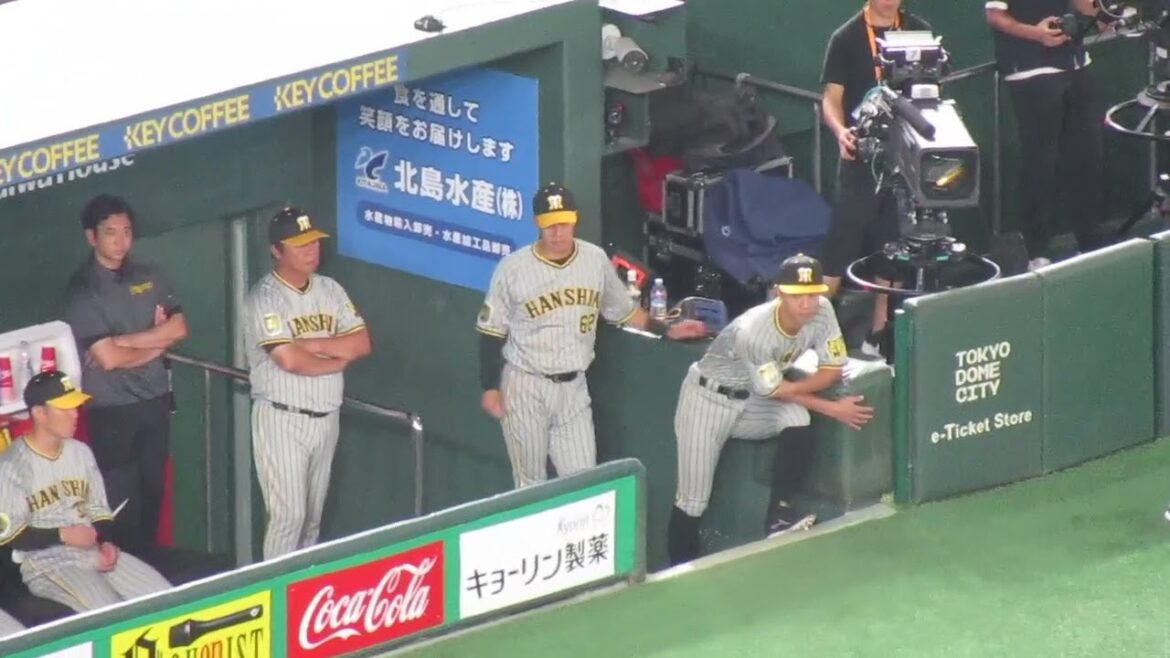 チャンスで味方の攻撃をじっくり見る熊谷敬宥や植田海＜読売ジャイアンツ 対 阪神タイガース2024年7月16日＞