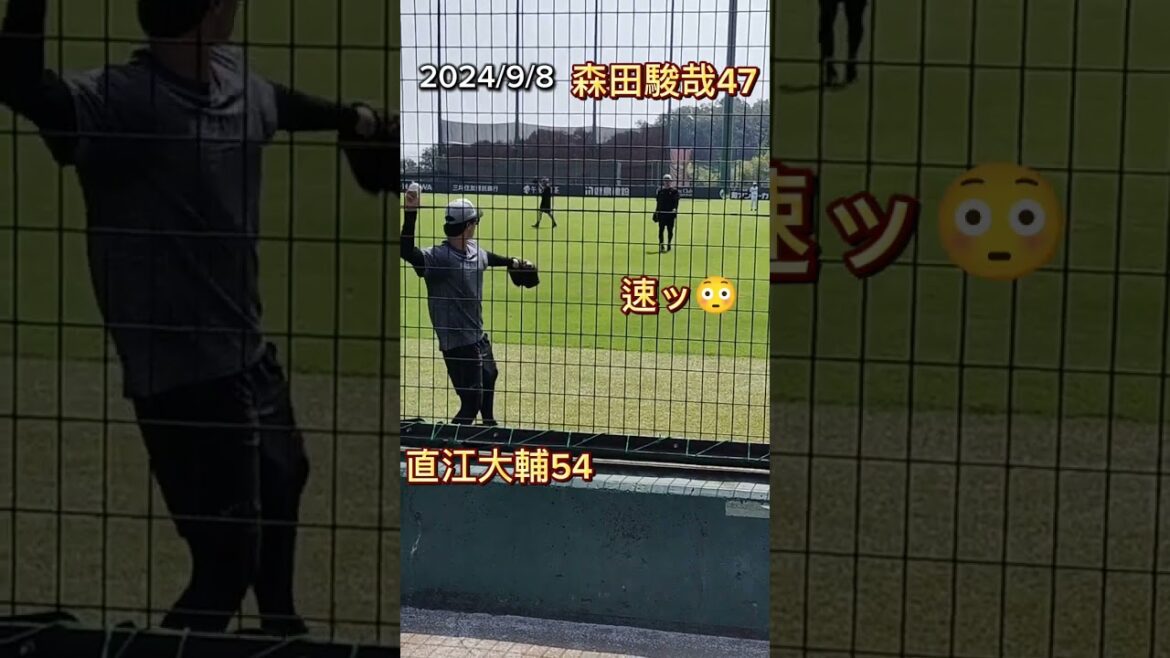 【GIANTS】 #森田駿哉 の速い球を捕る #直江大輔  #shorts #巨人 #ジャイアンツ