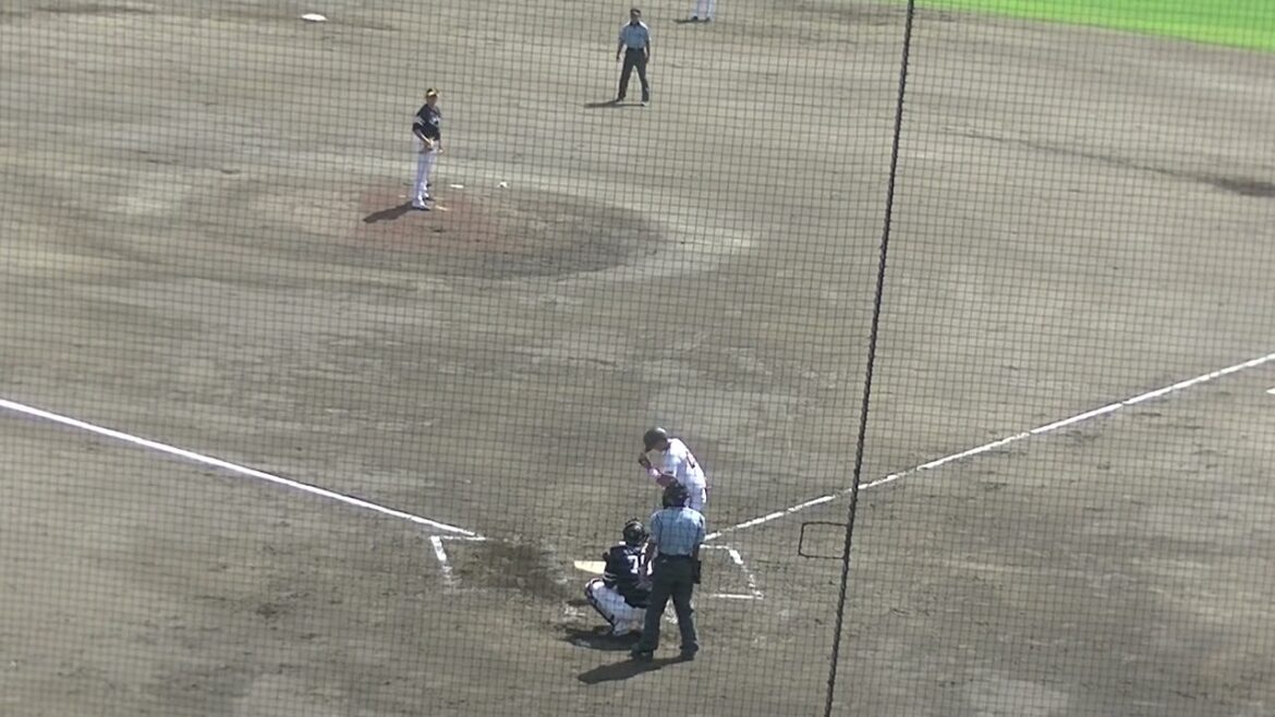 舟越秀虎がフォアボールを選ぶ（読売ジャイアンツ3軍 対 ソフトバンクホークス3軍 2024年9月2日）