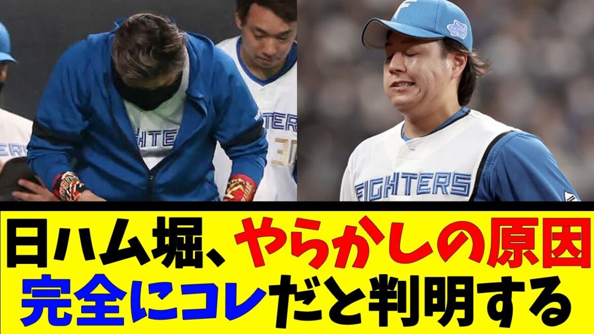 日ハム堀、やらかしの原因完全にコレだと判明する【反応集】【野球反応集】【なんJ なんG野球反応】【2ch 5ch】 日ハム堀、やらかしの原因完全にコレだと判明する【反応集】【野球反応集】【なんJ なんG野球反応】【2ch 5ch】