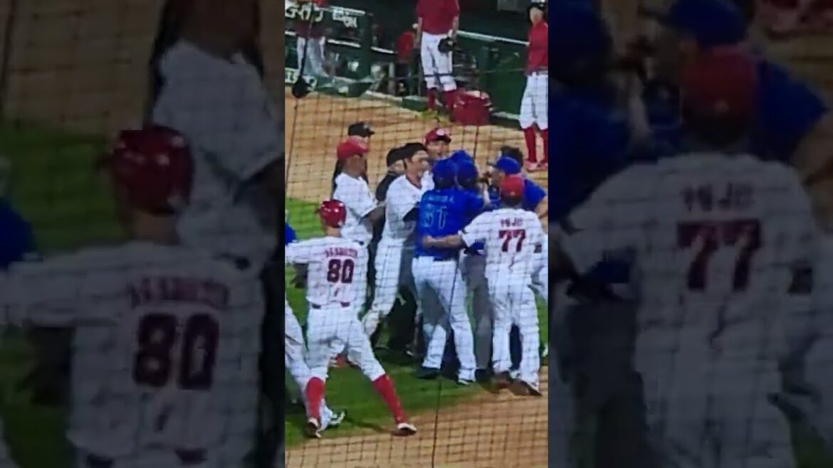 【2024.9.15】秋山選手の死球を巡り両軍あわや乱闘!?　#shorts  #秋山翔吾  #carp  #警告試合