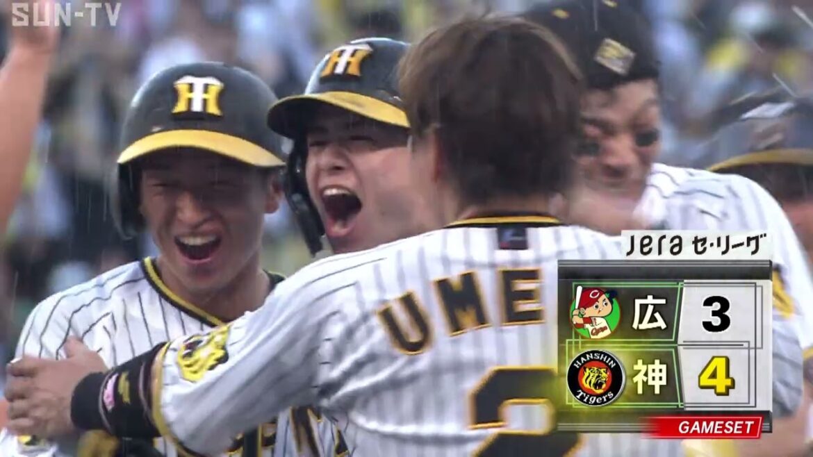 【速報】9/14 中野サヨナラタイムリーヒット！（2024年9月14日 阪神－広島）#サンテレビボックス席