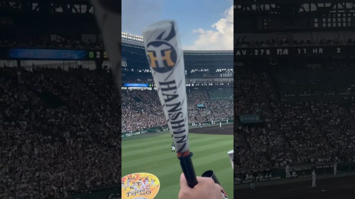 #渡邉諒 #木澤尚文 暴投で追加点 現地