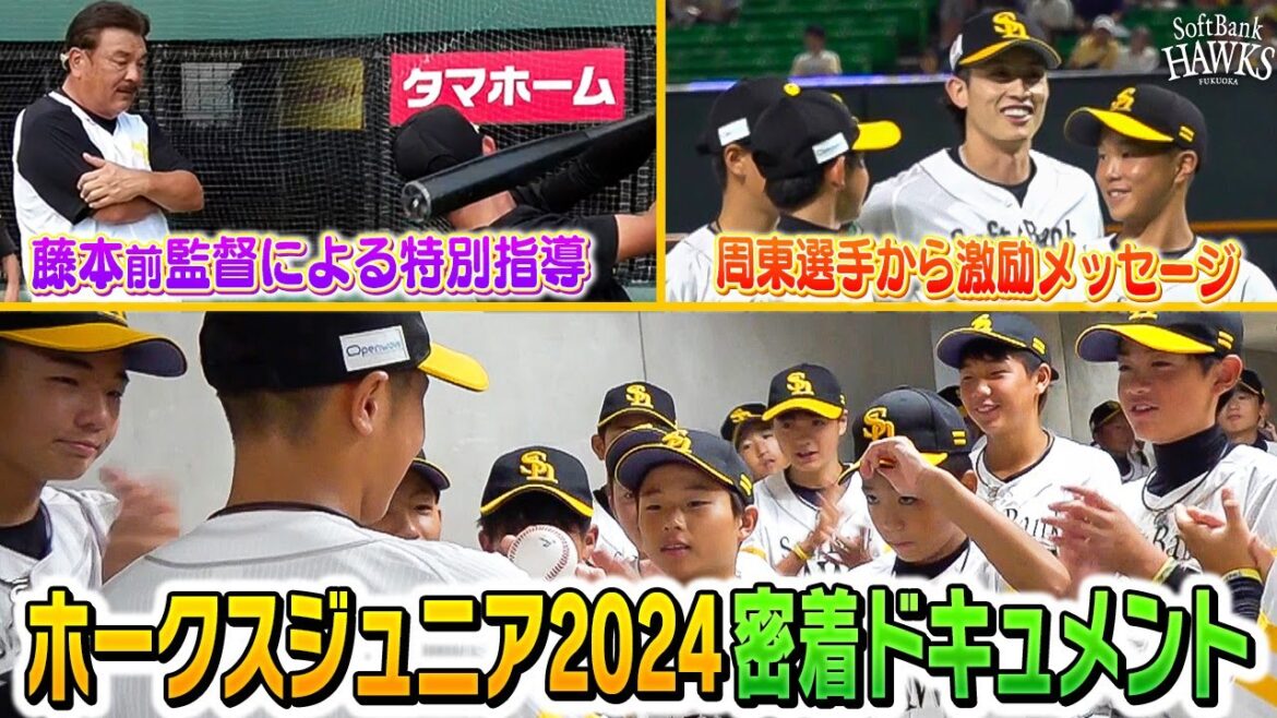 【未来のスター候補が集結】ホークスジュニア2024に密着！