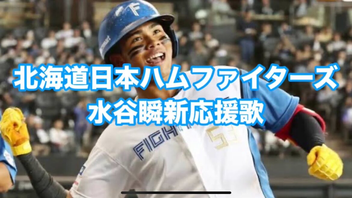 北海道日本ハムファイターズ水谷瞬新応援歌