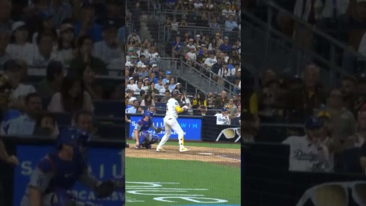 大谷翔平  松井裕樹 パドレスvsドジャース　現地時間2024.7.30