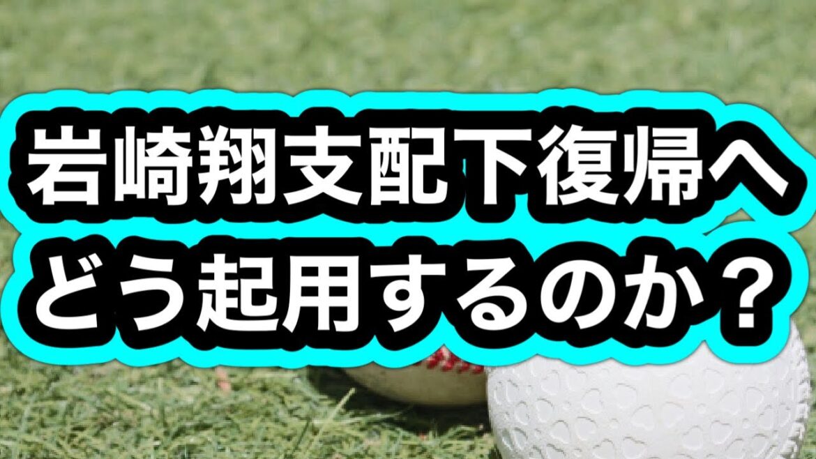 【中日ドラゴンズ】岩崎翔選手支配下復帰おめでとう！！どう起用するか考えました