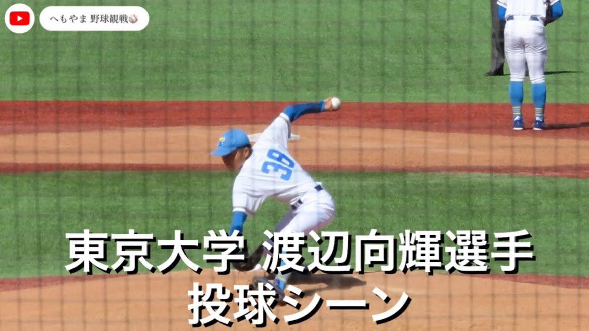 東京大学 渡辺向輝選手 投球シーン
