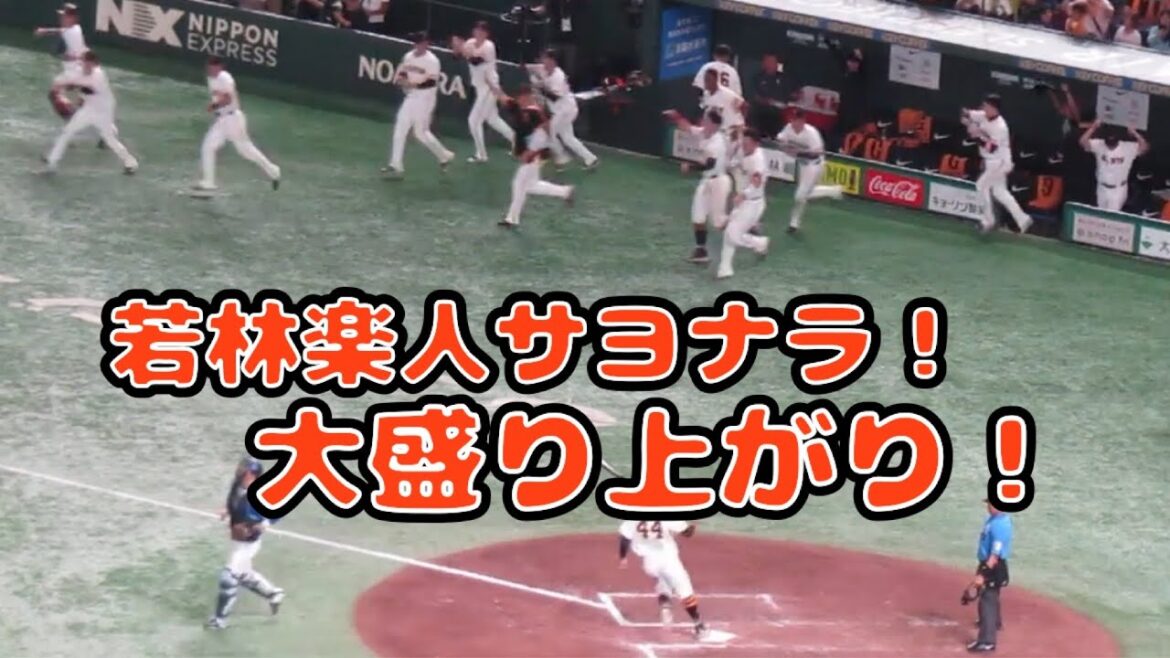 若林楽人サヨナラヒットで盛り上がるベンチの選手たち 誰が誰に水かけたりしてるかが面白い 2024年7月12日 読売ジャイアンツ対 横浜DeNAベイスターズ