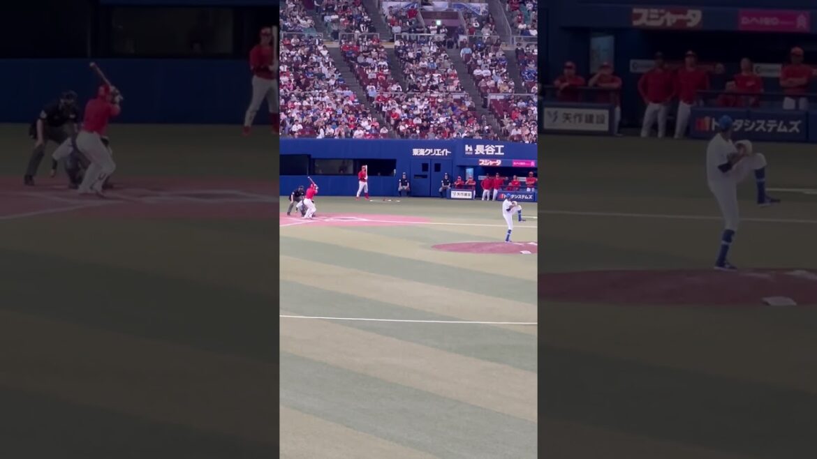 ライデルマルティネスの攻撃✨2024.4.28 ナゴド ライト外野ドラゴンズ応援　広島戦　#中日応援団 #チュニドラ #延長引き分け