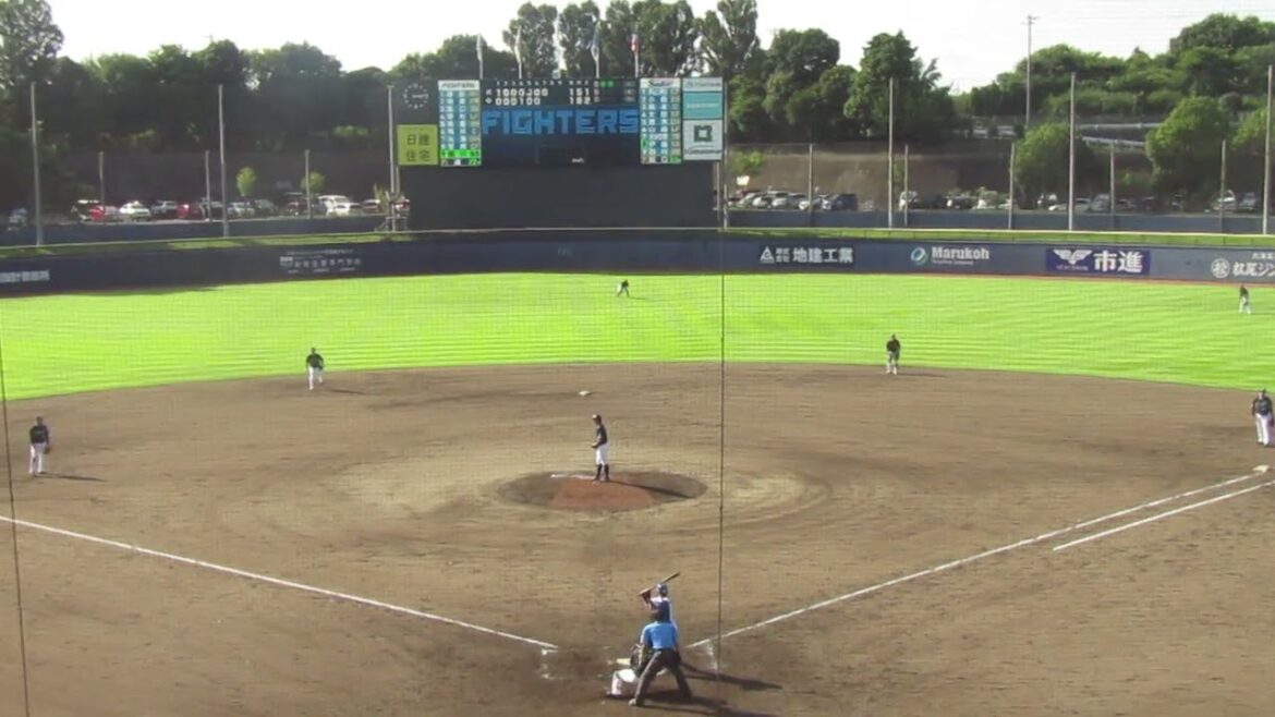 細川凌平フォアボールで出塁する（2024年9月4日 日本ハムファイターズ 対 ヤクルトスワローズ）