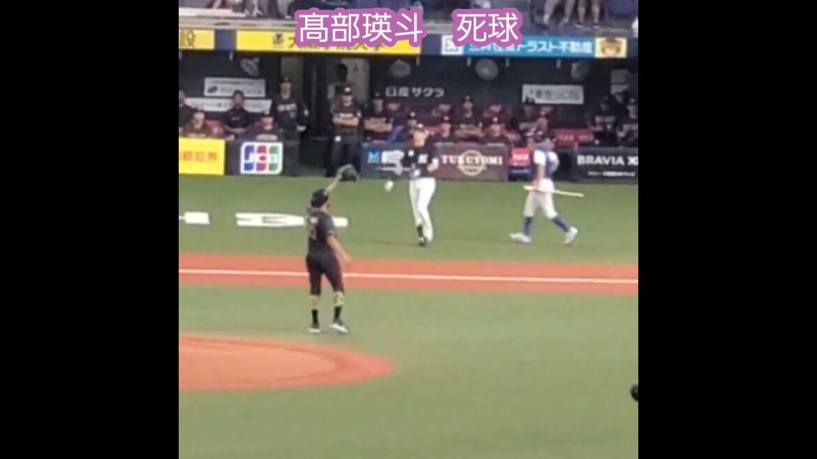 20240825　#髙部瑛斗 の打撃フォーム→死球を受ける→ロッテファンがキレる　#shorts　#高部瑛斗@千葉ﾛｯﾃﾏﾘｰﾝｽﾞ京ｾﾗﾄﾞｰﾑ大阪･ﾚﾌﾄ外野下段
