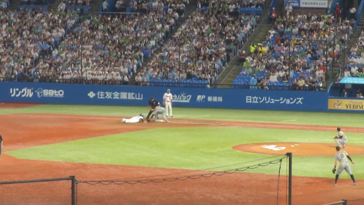 阪神 梅野隆太郎 牽制アウト ナイスプレー 西川遥輝は盗塁失敗　ヤクルト vs 阪神　2024年9月7日(土) 神宮球場