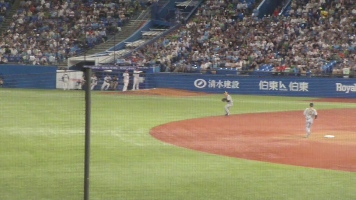 阪神 中野拓夢 ナイスプレー　ヤクルト vs 阪神　2024年8月6日(火) 神宮球場