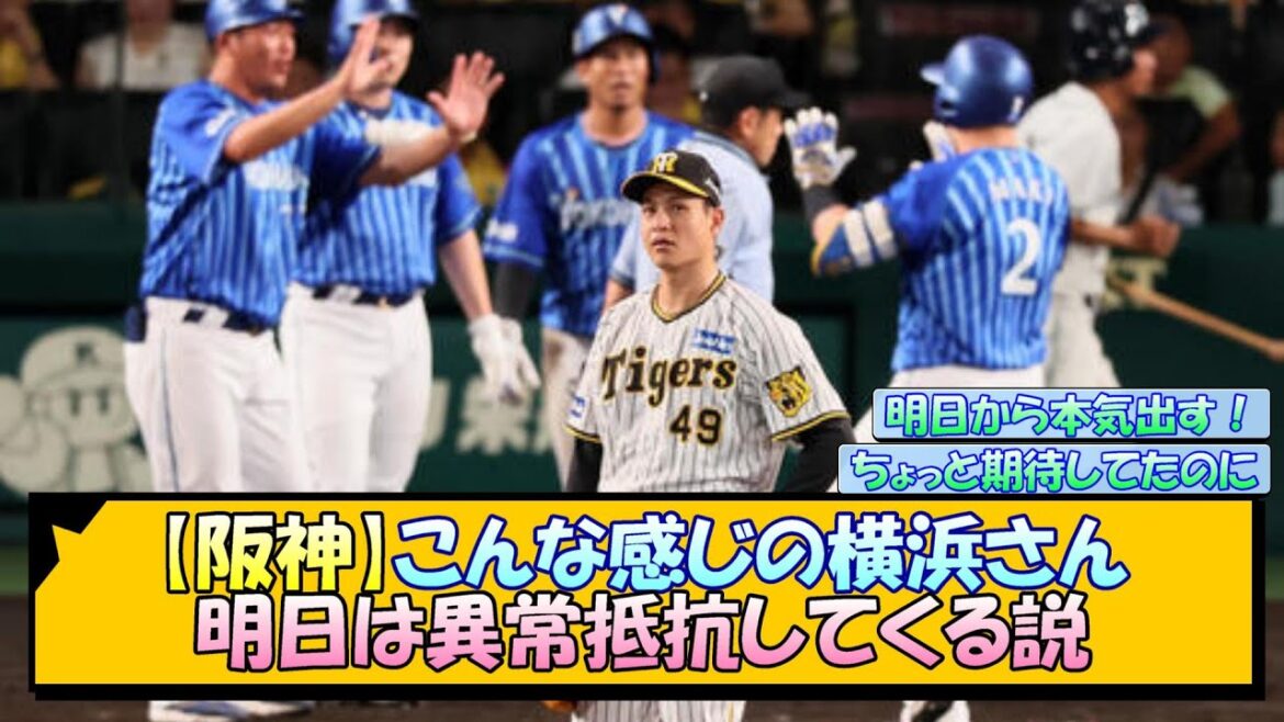 【阪神】こんな感じの横浜さん、明日は異常抵抗してくる説【なんJ/2ch/5ch/ネット 反応 まとめ/阪神タイガース/岡田監督】