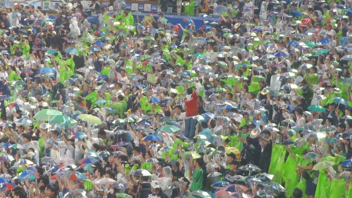 ヤクルト 長岡秀樹 タイムリーヒット　ヤクルト vs 広島　2024年9月18日(水) 神宮球場